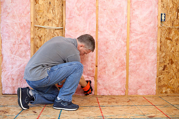 Best Insulation Replacement Services  in Portage Lakes, OH